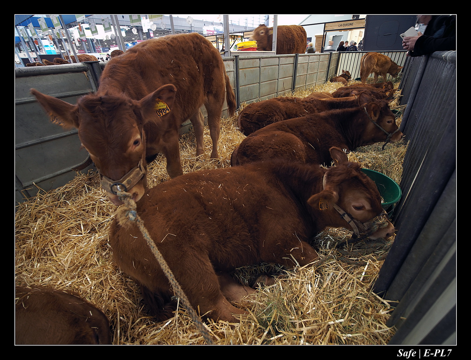 2020 - 02 - Salon agriculture 66